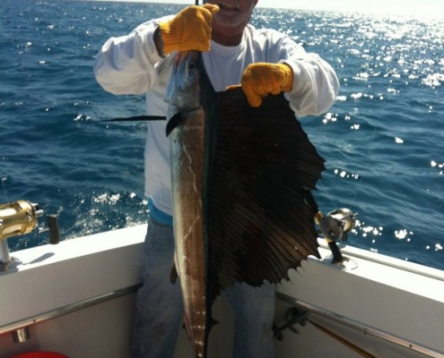  Key West Deep Sea Fishing Charters High Stakes Charters 